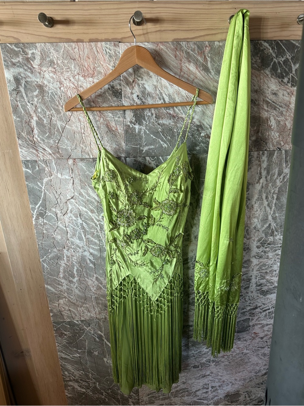 Stunning Embellished Silk Fringe Dress and Scarf - Picture 10 of 12